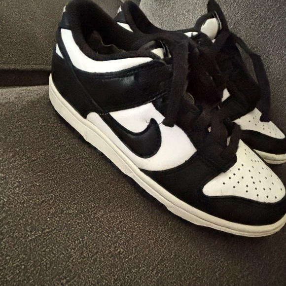 Pandas - Picture 4 of 4